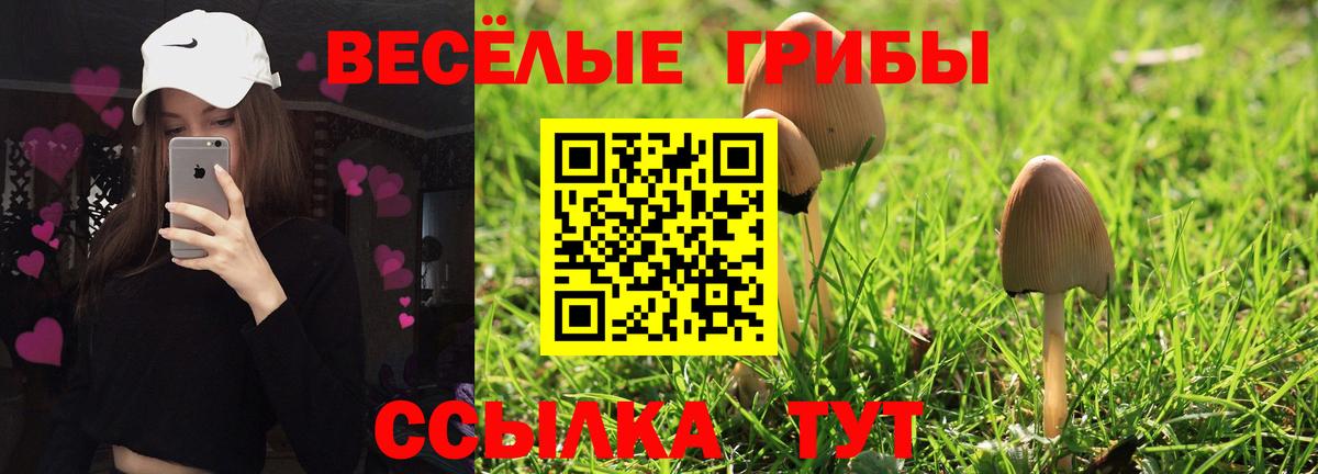Мариинск  Псилоцибиновые грибы мухоморы  Вход с VPN  Галлюциногенные грибы Psilocybe 