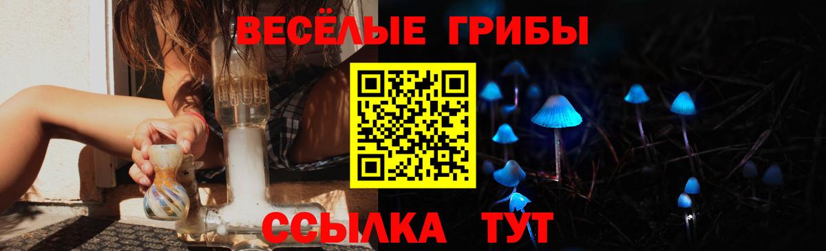 Галлюциногенные грибы прущие грибы Мариинск